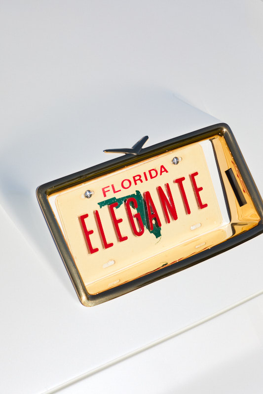 Gold-framed Florida ELEGANTE licence plate on white bodywork